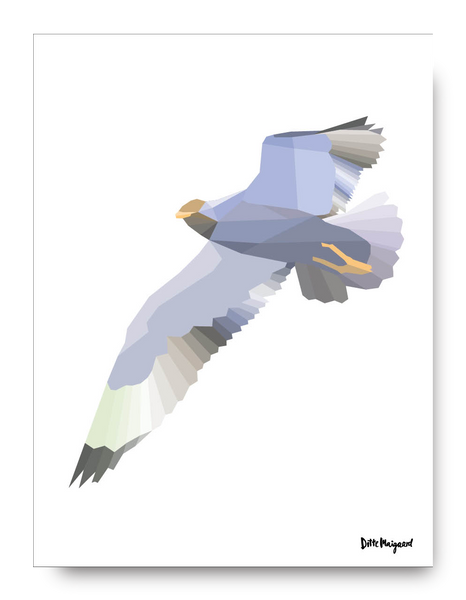 Sir Seagull Poster - 30x40
