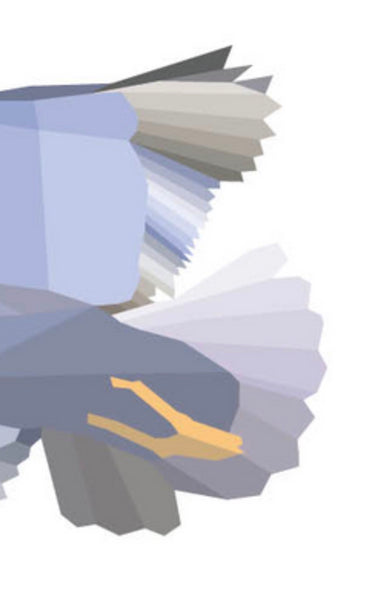 Sir Seagull Poster - 30x40