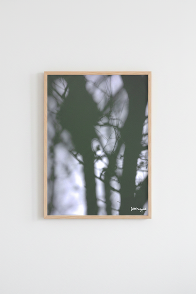 Botanic Blur Poster Green - 30x40
