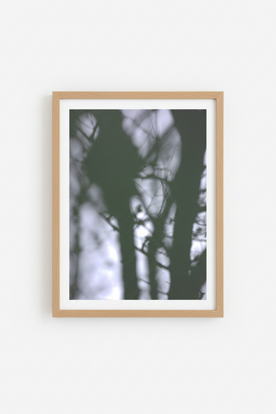 Botanic Blur Poster Green - 30x40