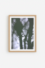 Botanic Blur Poster Green - 30x40